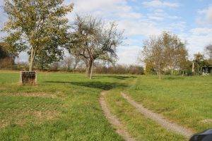 Zukünftiges Baugebiet Neuerborn in Weilrod