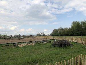 Neues Zauneidechsenareal im Süden des Baugebietes am 02.05.2022