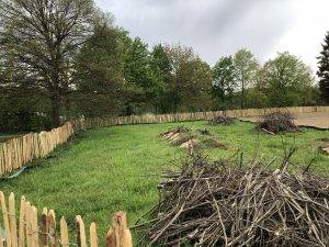 Neues Zauneidechsenareal im Süden des Baugebietes am 02.05.2022