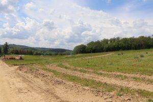 Baugebiet Weilrod, Juni 2021