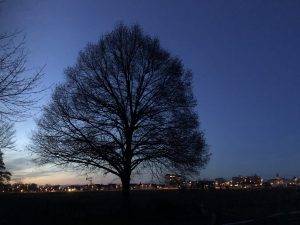 Abendblick in das Baugebiet - Frühjahr 2024